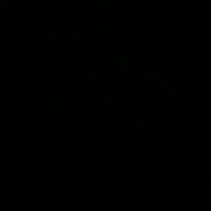 Meet your Posher, Bailey